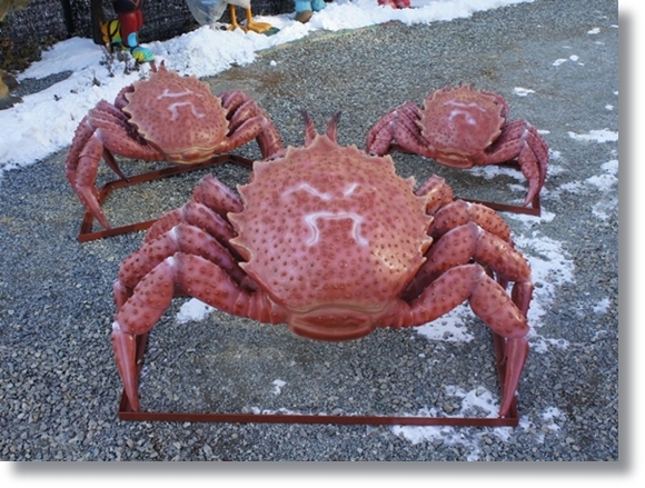 img1.jpg